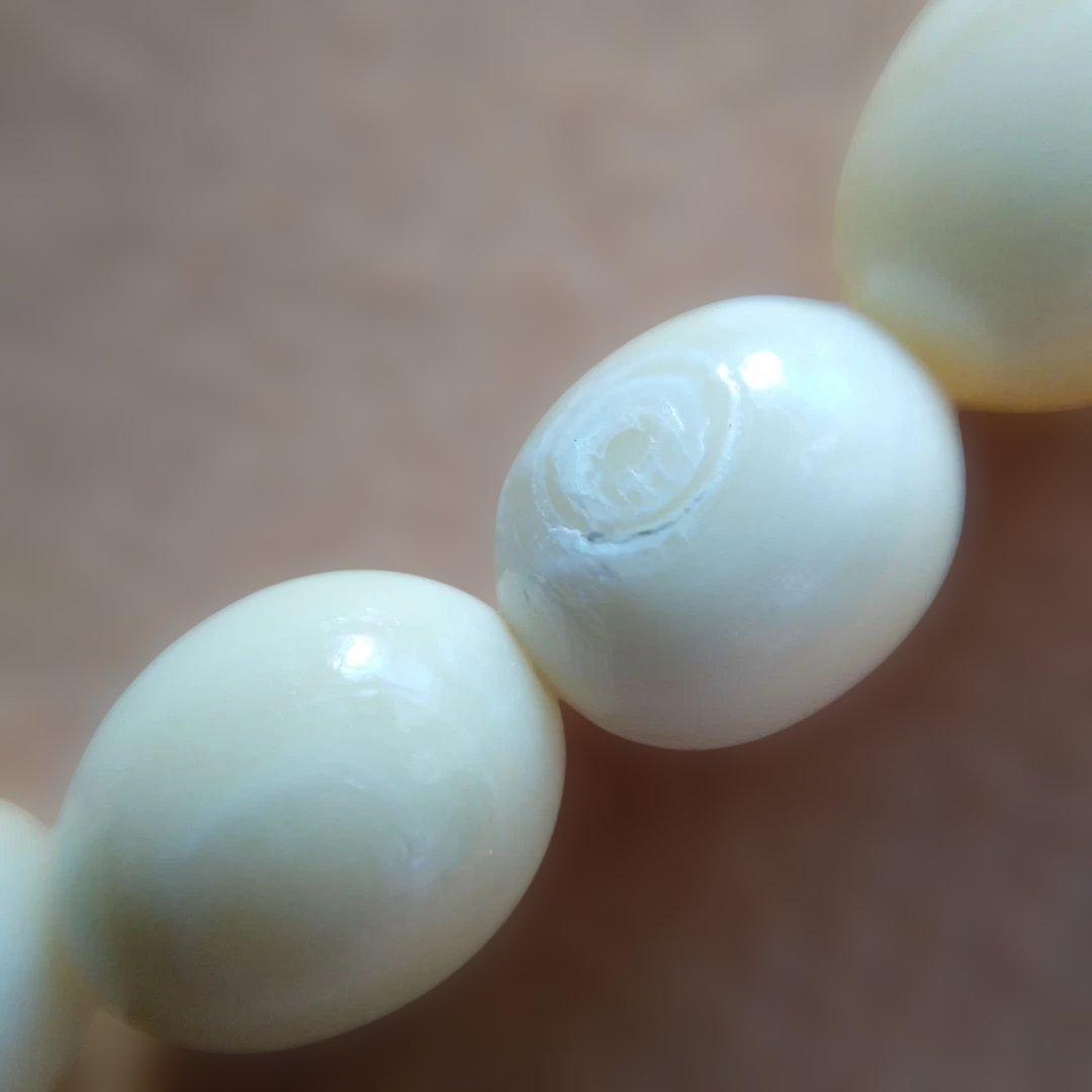 鯨歯　マッコウ鯨　牙玉ブレスレット　22.5㎝