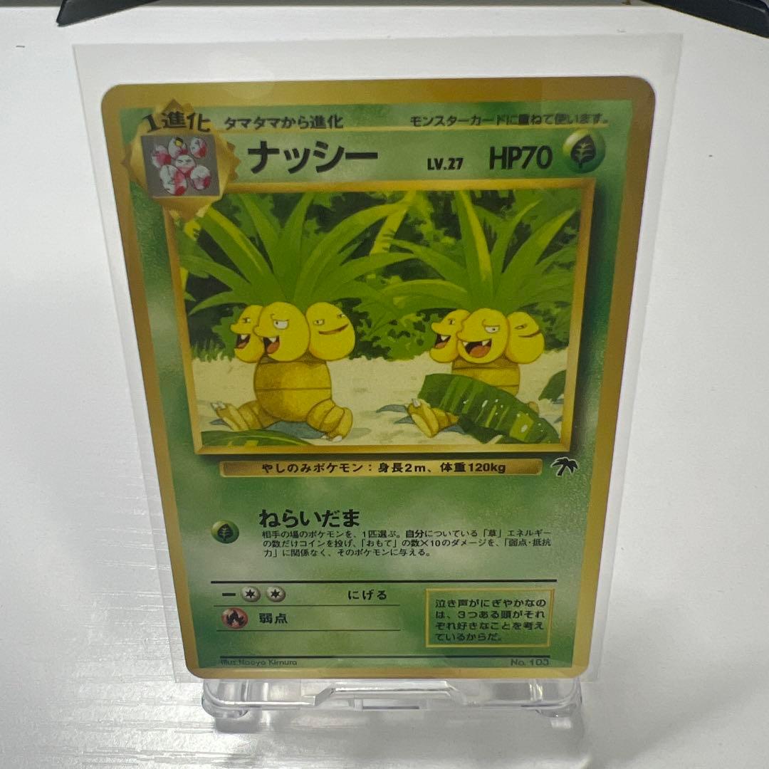 サザンアイランド ポケモンカードセット　セミコンプリート