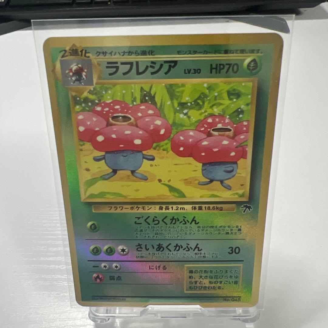 サザンアイランド ポケモンカードセット　セミコンプリート
