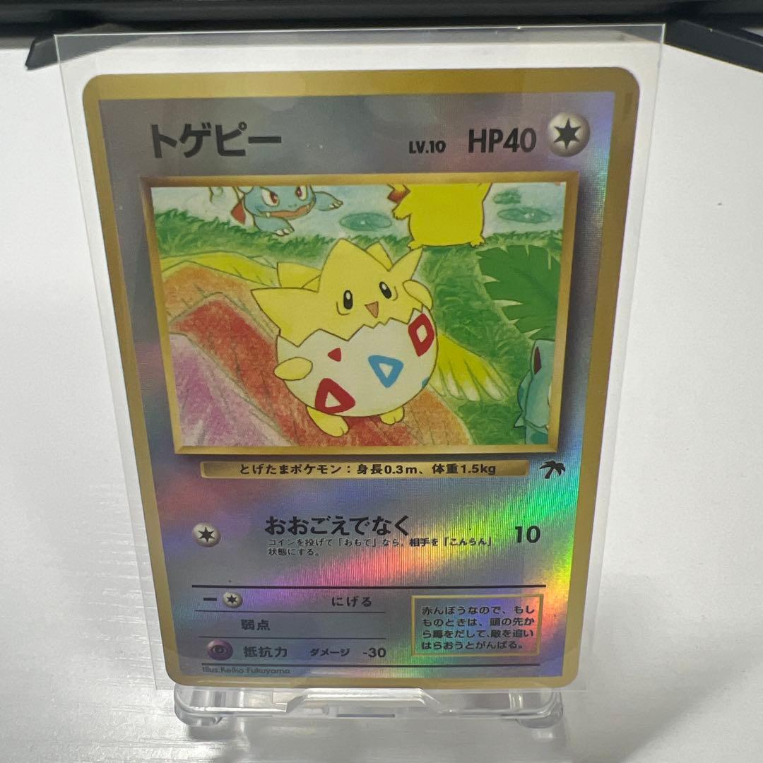 サザンアイランド ポケモンカードセット　セミコンプリート