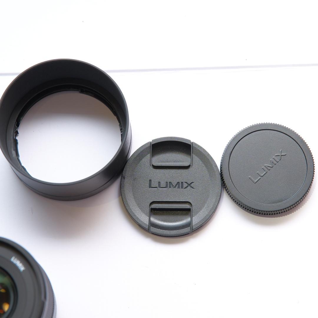 レンズ(単焦点) LUMIX S 50mm F1.8 S-S50 Panasonic