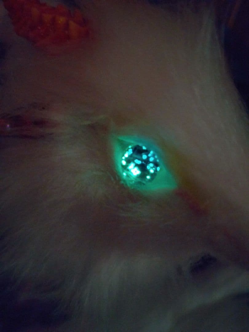 琉球ホタルガラス瞳蓄光☆双尾天龍アートドールDragonぬいぐるみ幻獣ドラゴン赤