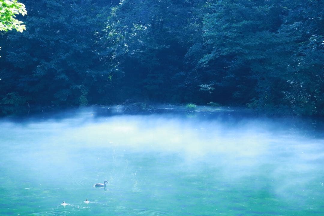 Canon EOS 8000D レンズ3本セット（ダブルズームキット＋単焦点）