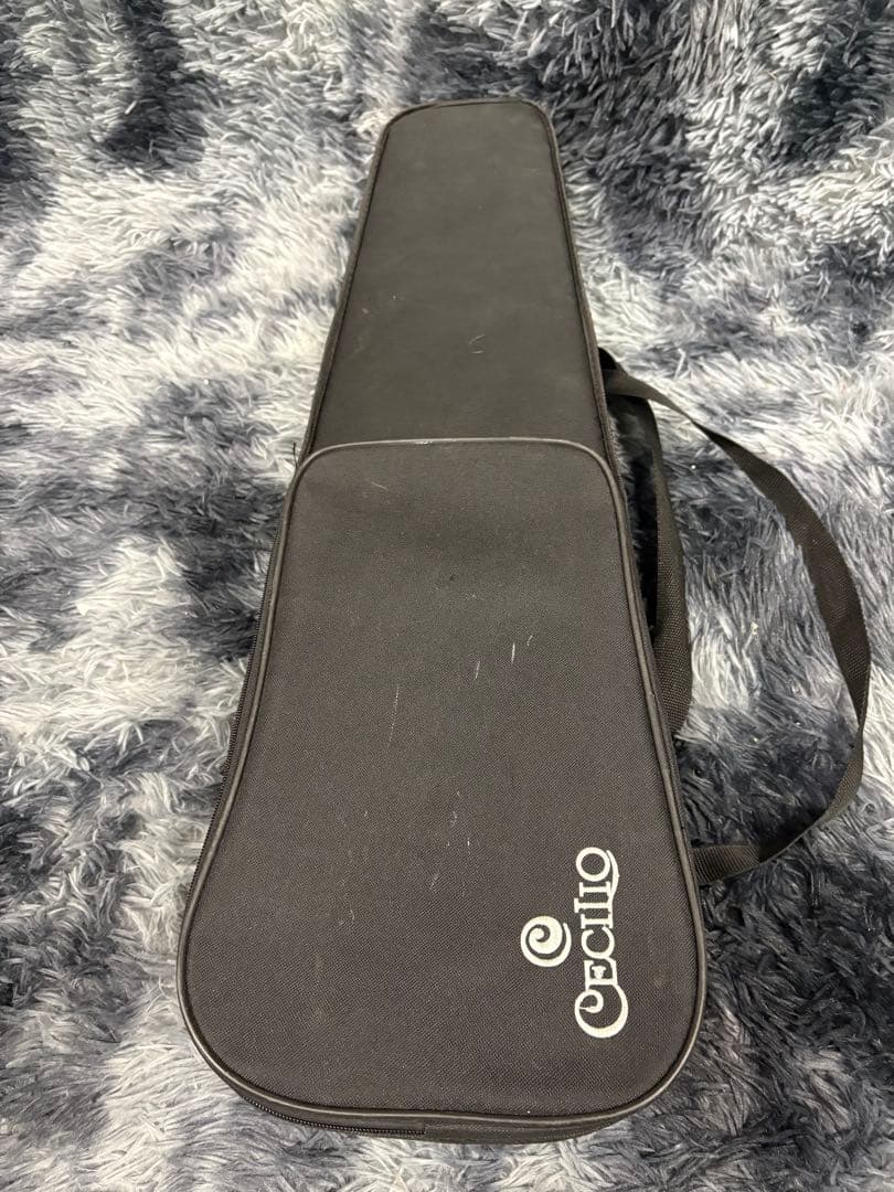B0102）Cecilio CVN-300 バイオリン ケース付き
