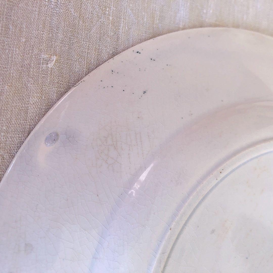 フランスアンティーク　鳥＆蝶のモチーフプレート　B　フランスアンティーク食器