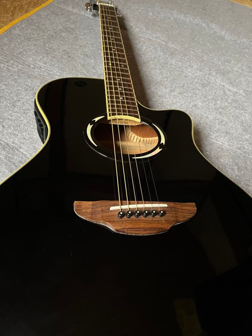 YAMAHA APX500 Ⅱ BL エレアコ（Yamahaソフトケース付き）