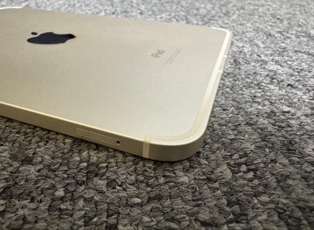 iPad mini 第６世代 Cellular 64GB スターライト