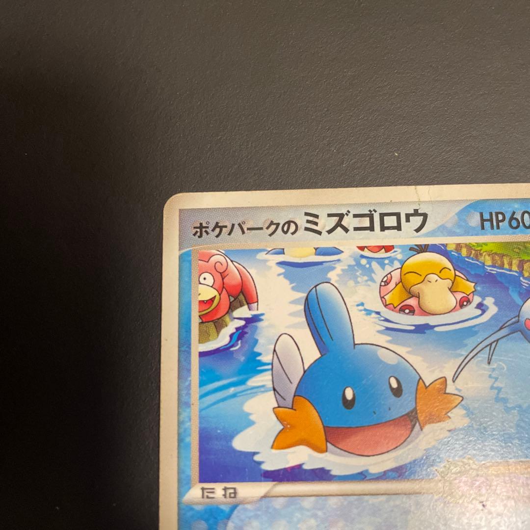 ポケパークのミズゴロウ