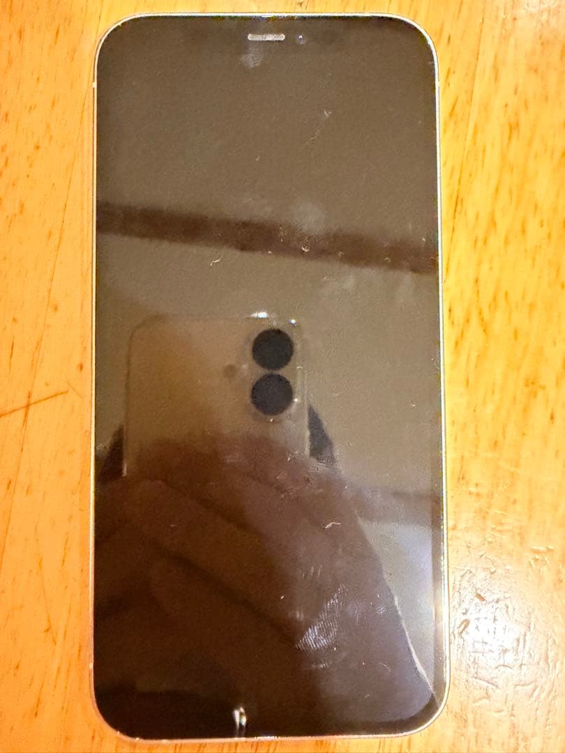 iPhone 12 Pro 256GB SIMフリージャン ク扱い付属品あり