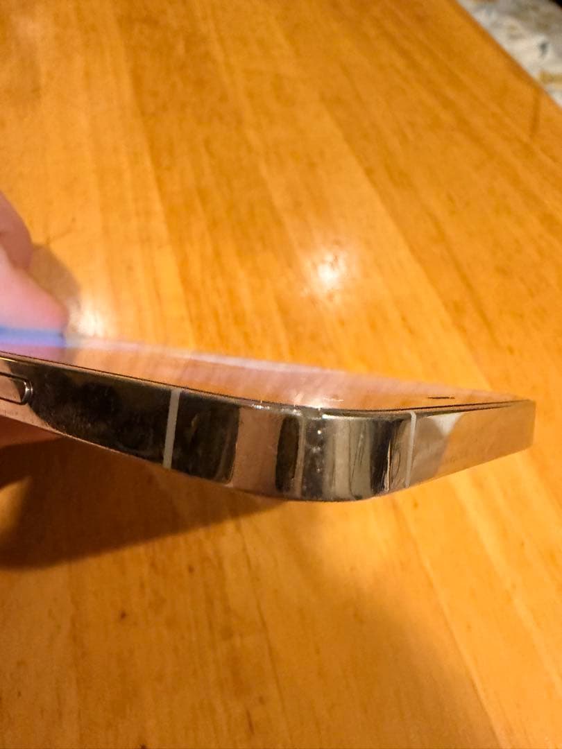 iPhone 12 Pro 256GB SIMフリージャン ク扱い付属品あり