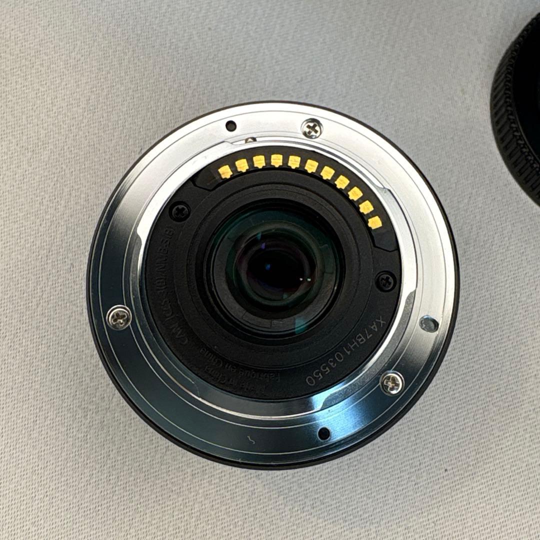 Panasonic LUMIX GX1 レンズ2本 LVF2リモコン 元箱付