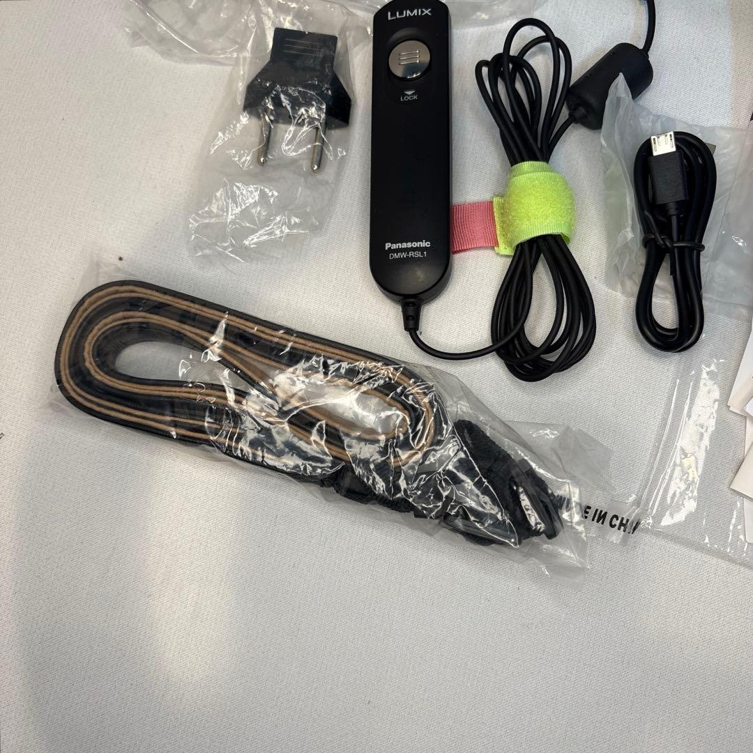Panasonic LUMIX GX1 レンズ2本 LVF2リモコン 元箱付