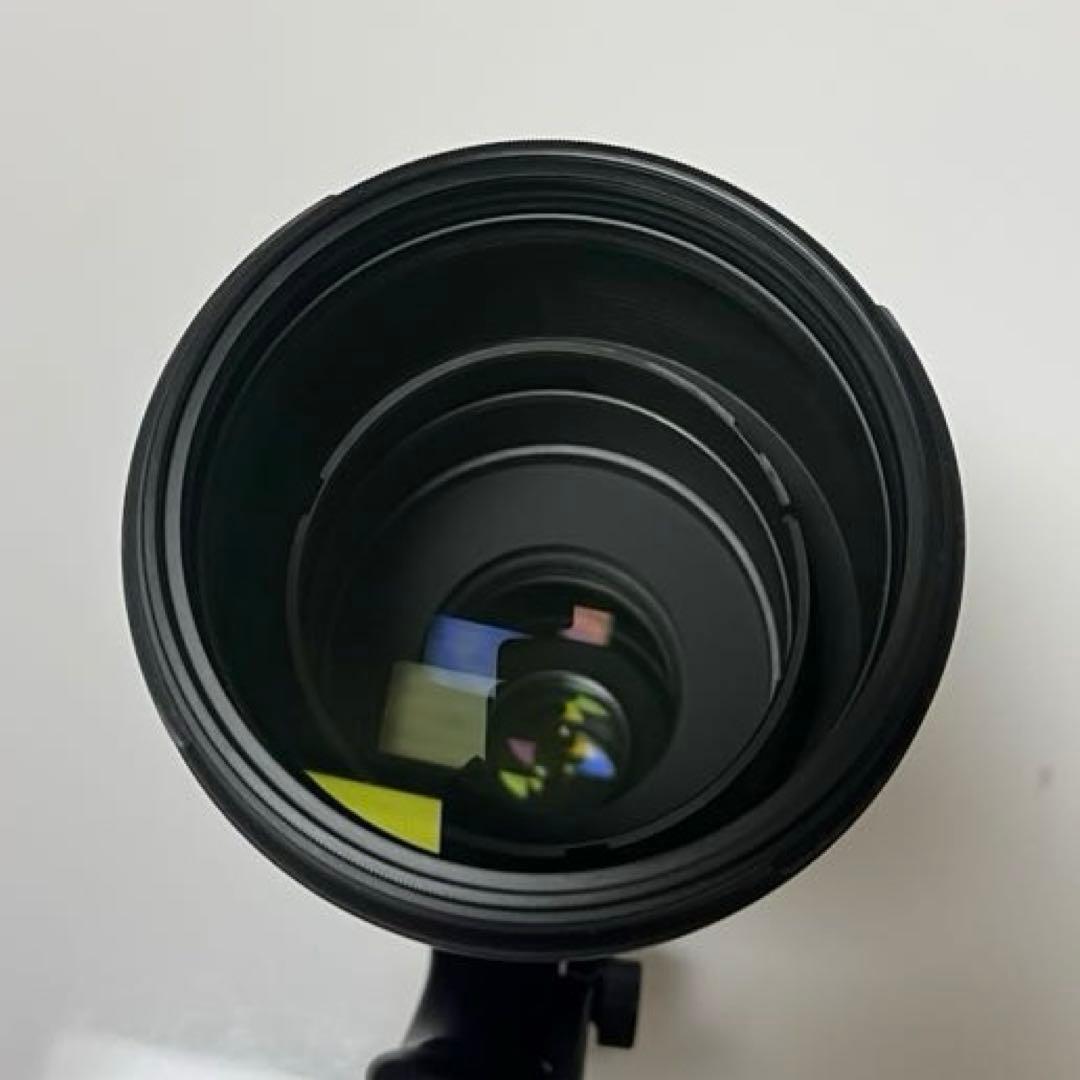 TAMRON SP 150-600mm G2 キャノン用