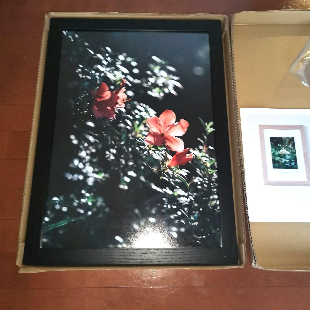 HIRASHIMA ヒラシマ　ORLO PICTURE オルロピクチャー　A2