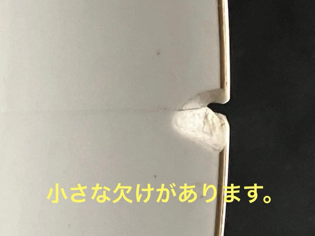 ❤︎【貴重非売品】ジョージ・ハリスンのレーベル、ダークホース大皿（難あり）❤︎