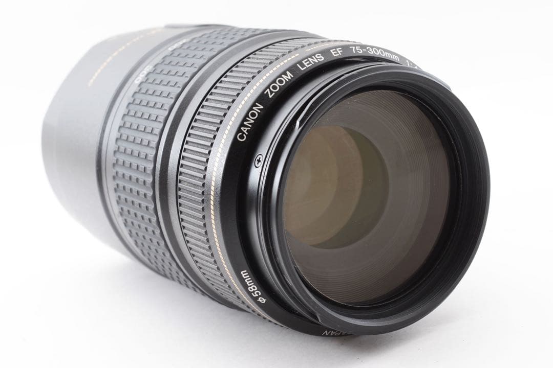 一眼レフカメラ Canon EF 75-300㎜F4-5.6 IS USM