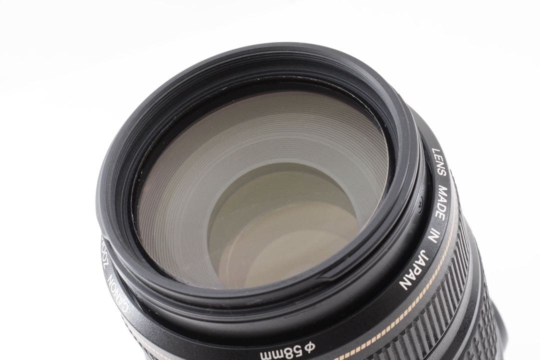 一眼レフカメラ Canon EF 75-300㎜F4-5.6 IS USM