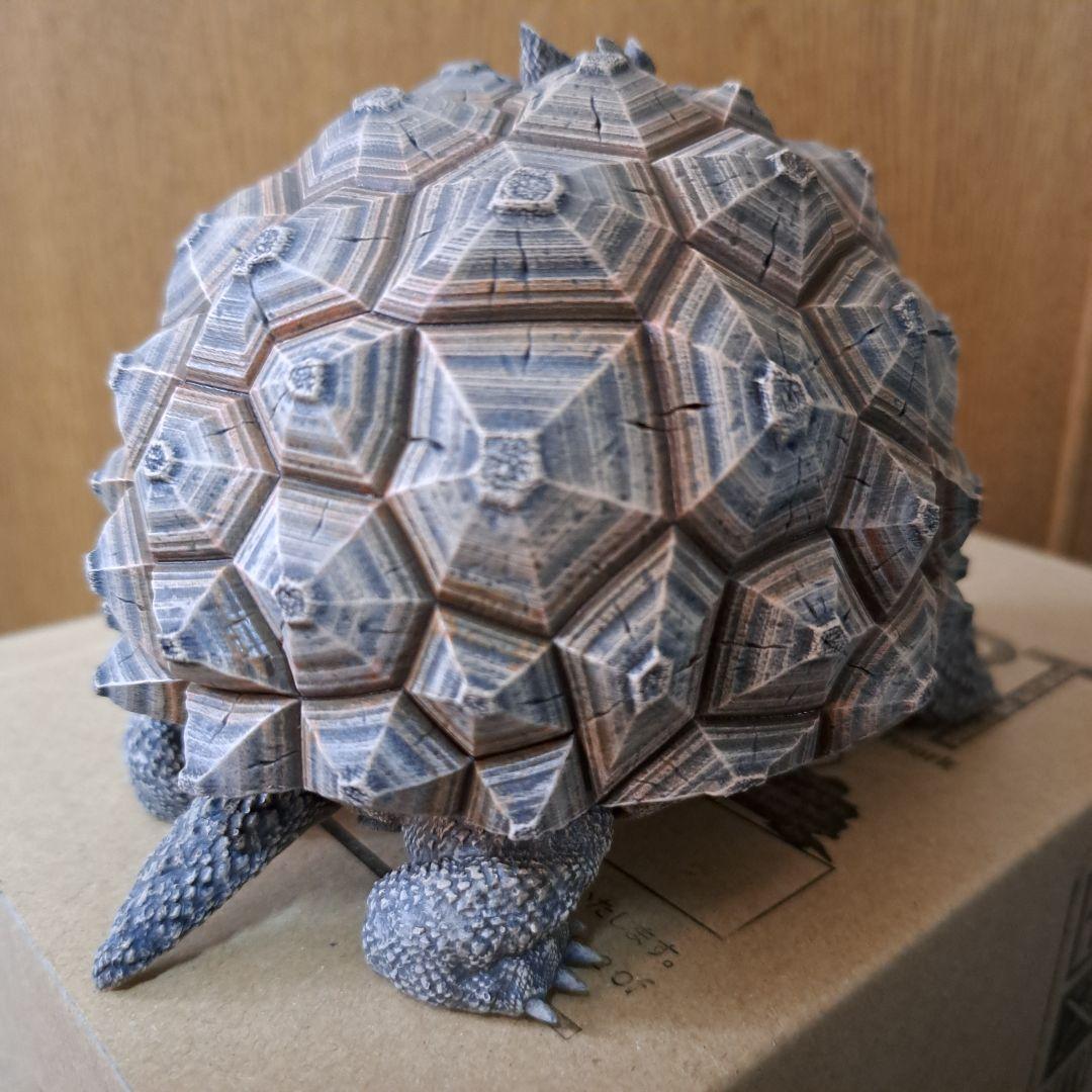 その他 ozwrt Dioscorea Nasutoceratops