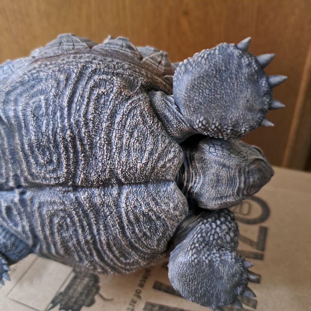 その他 ozwrt Dioscorea Nasutoceratops