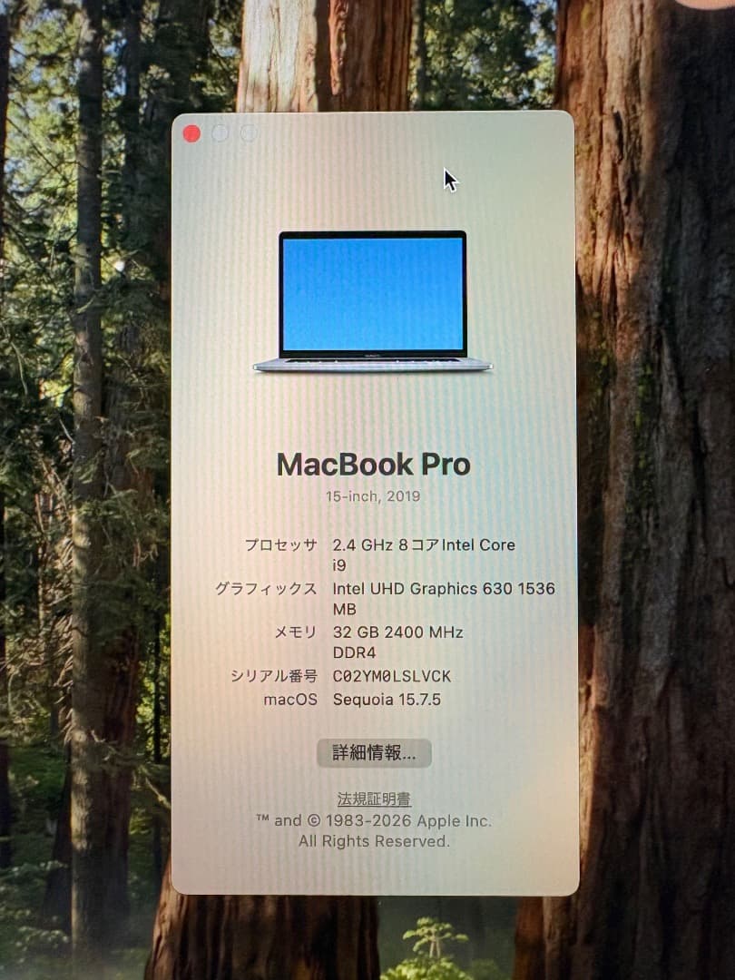 おまけ付き　MacBook Pro 2019 15インチ i9/32GB/1TB