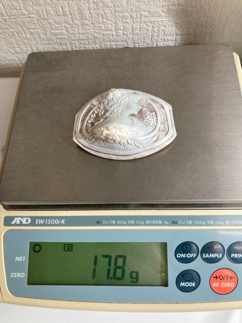 シェルカメオルース　作家エヴィン