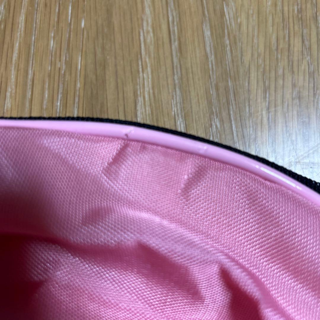 【新品未使用】ハローキティ　クラブケース　カオハナ