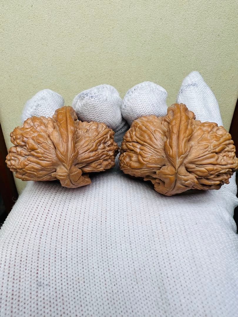 文玩堂：白獅子半壁江山