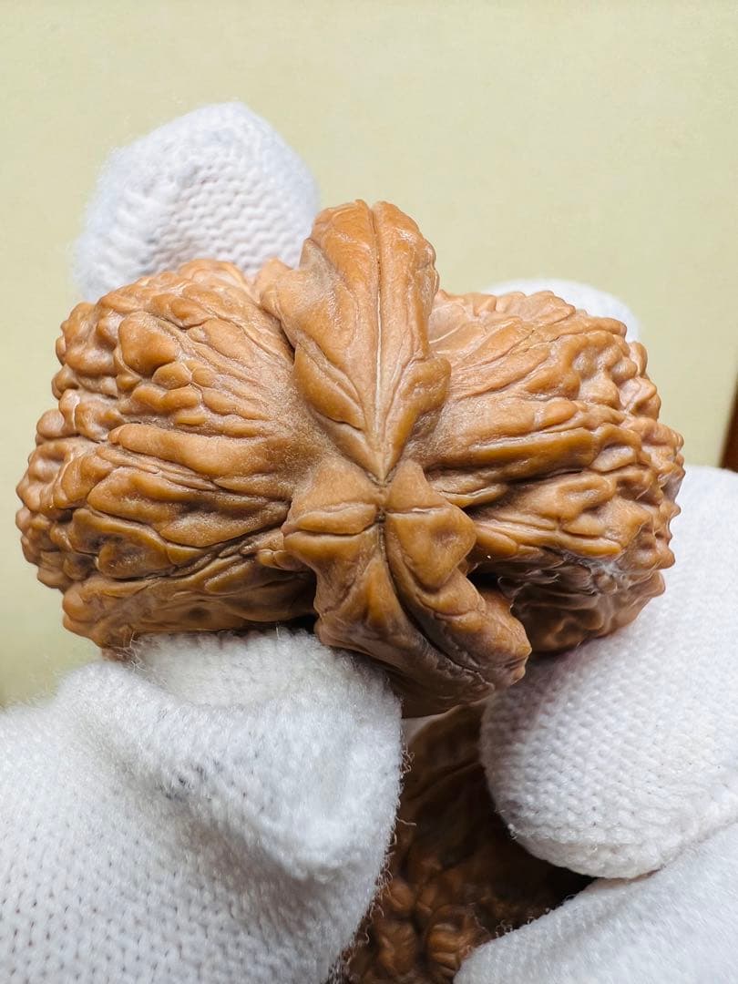 文玩堂：白獅子半壁江山