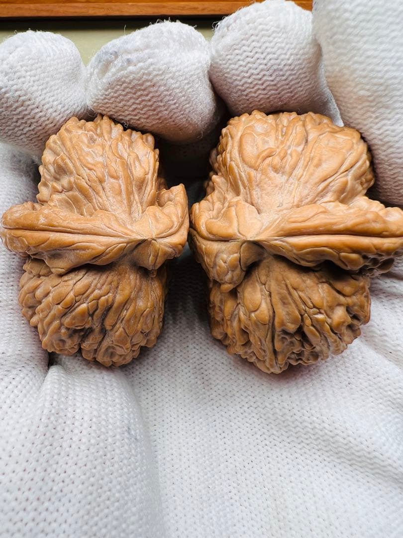 文玩堂：白獅子半壁江山