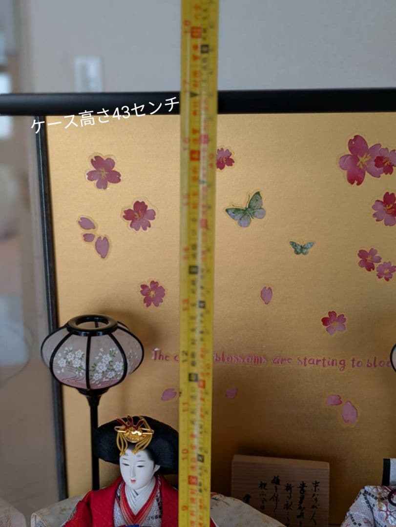 ケース付き！雛人形セット 桜の背景付き