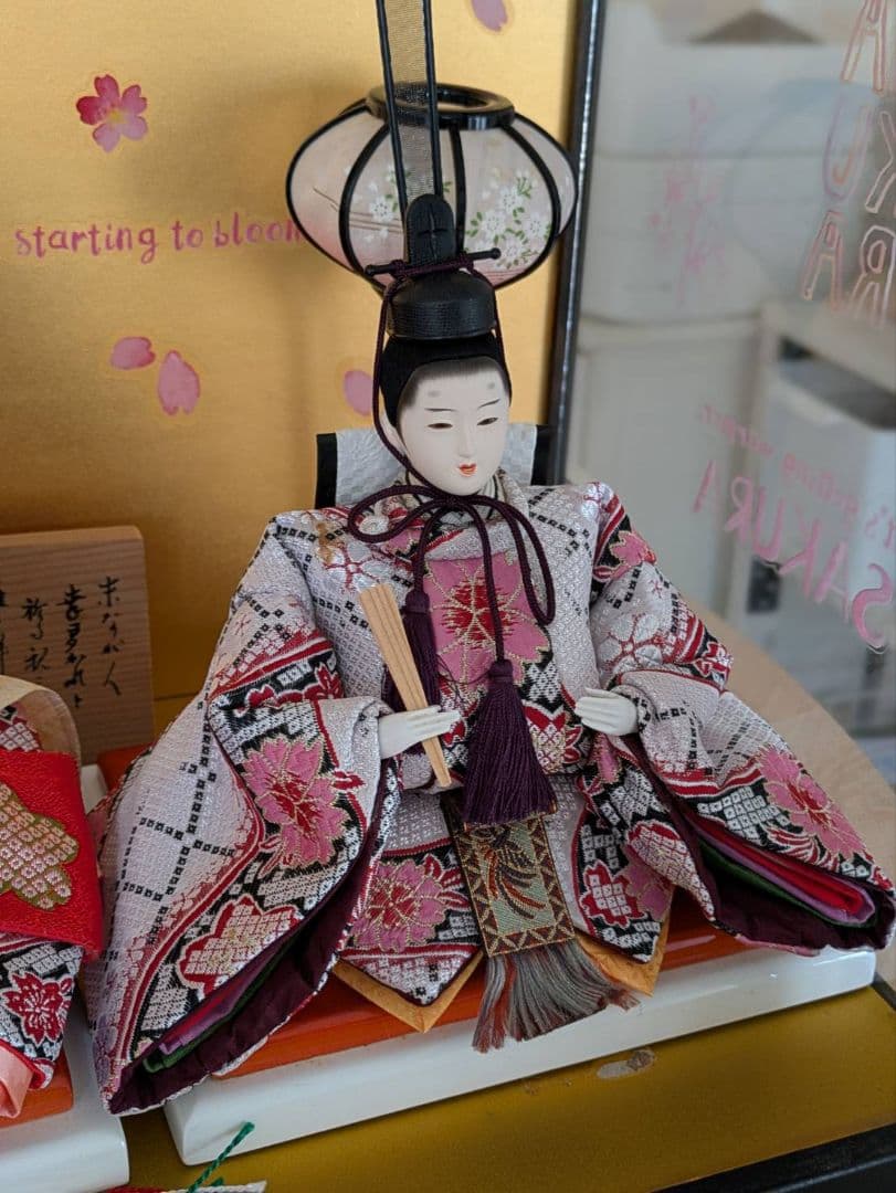 ケース付き！雛人形セット 桜の背景付き