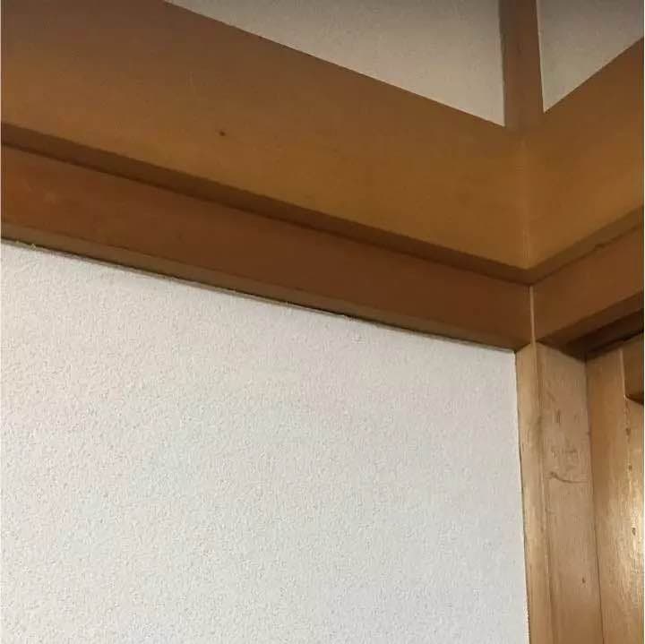 新品 ・未使用  珪藻土 2袋 キング鈴井商会 エコロジー
