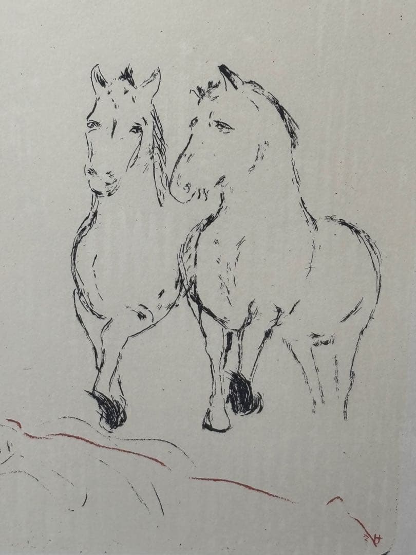 山本容子　馬　版画　リトグラフ　エディション　サイン　絵　額　額装　アート