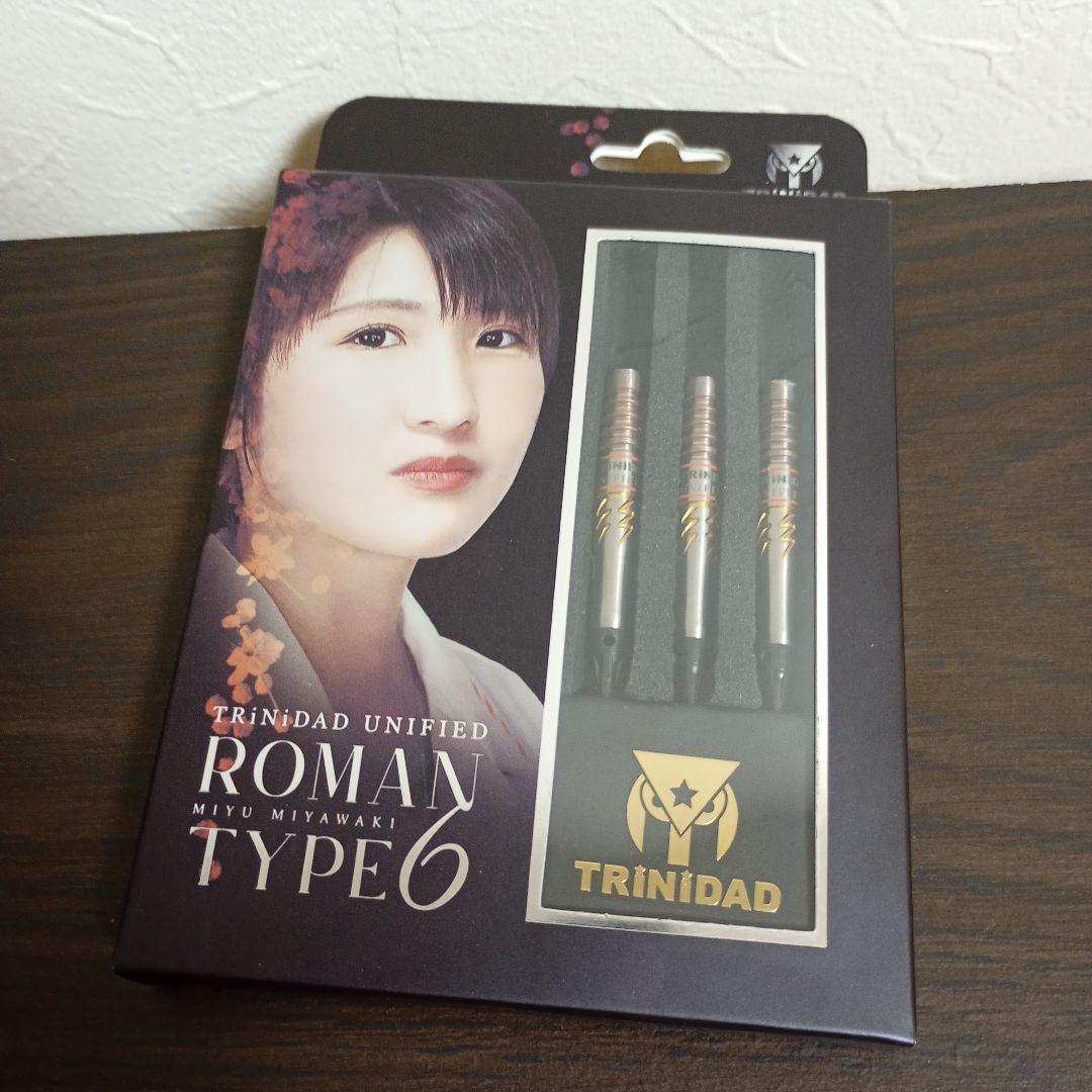 【中古美品】TRINIDAD ROMAN TYPE 6 宮崎実由 ダーツバレル