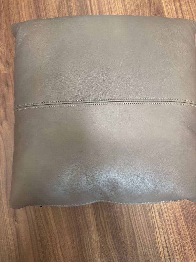 （2個セット）カッシーナ・イクスシー レザークッション FZ革