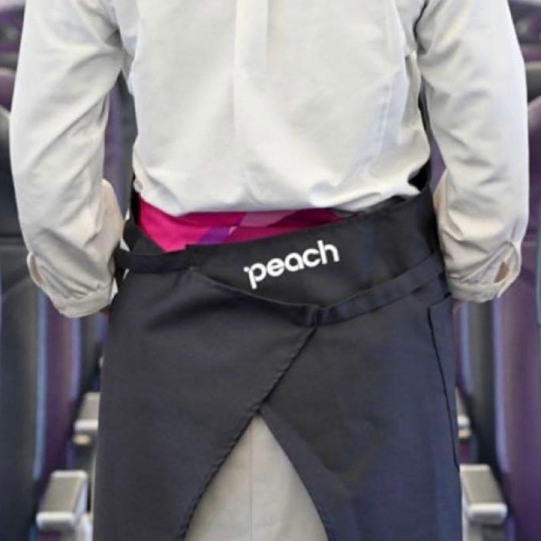 【新品・未開封】back number peach コラボ エプロン
