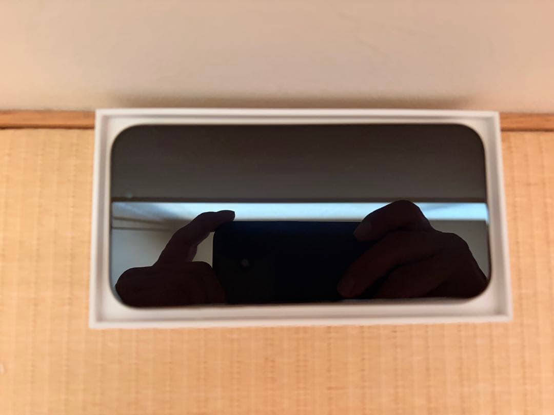 Apple iPhone 15 Pro ナチュラルチタニウム +新品ケース類あり