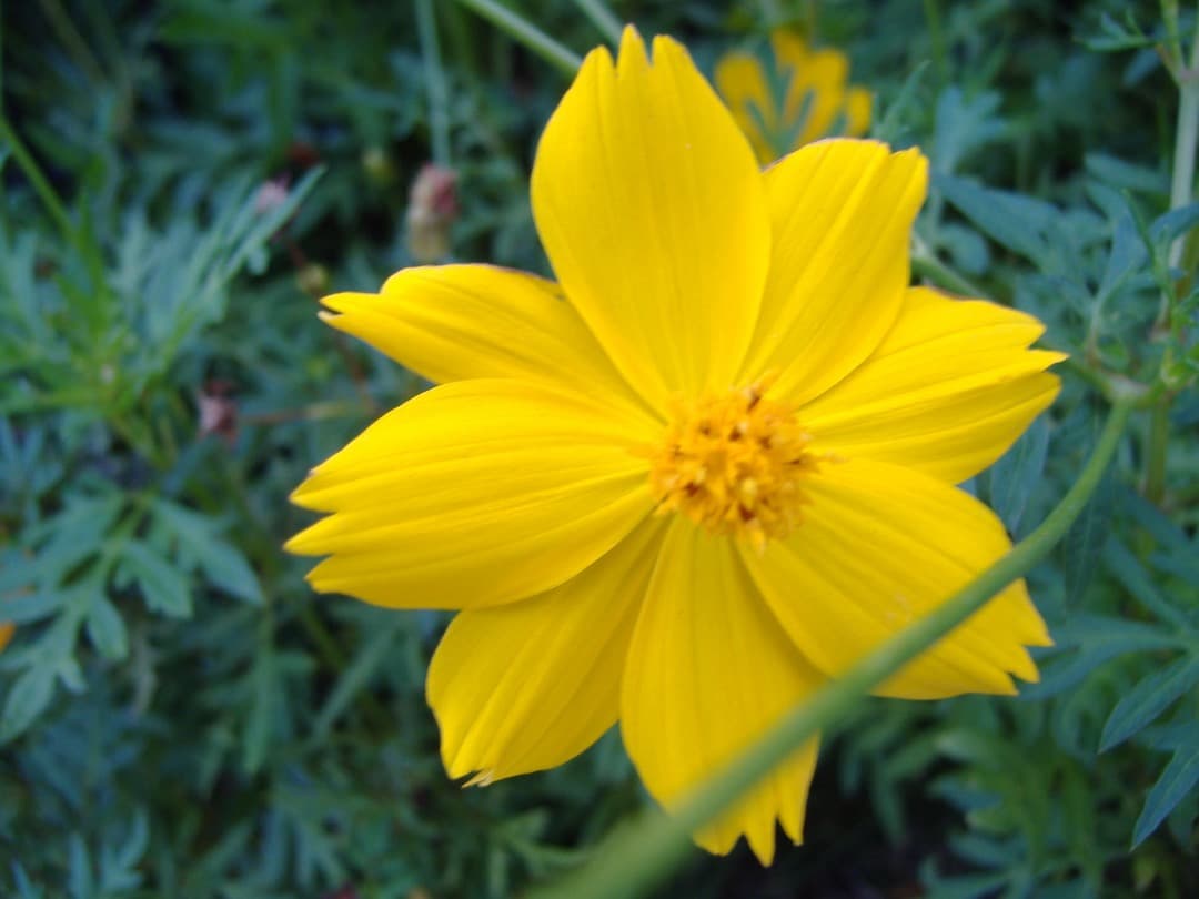 実写美⭕️良品【動作確認済】CCD FUJIFILM FinePix A345