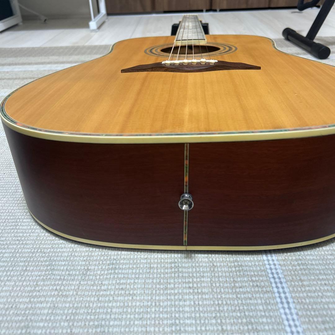 アコースティックギターElioth B305NS【アップグレード済み】