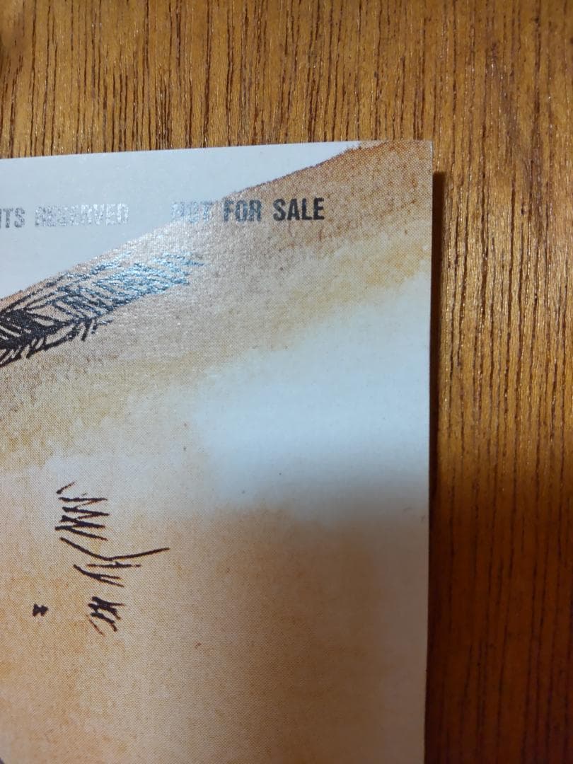 非売品 ストリートファイターII ドラマCD 春麗 うるし原智志 ポスター