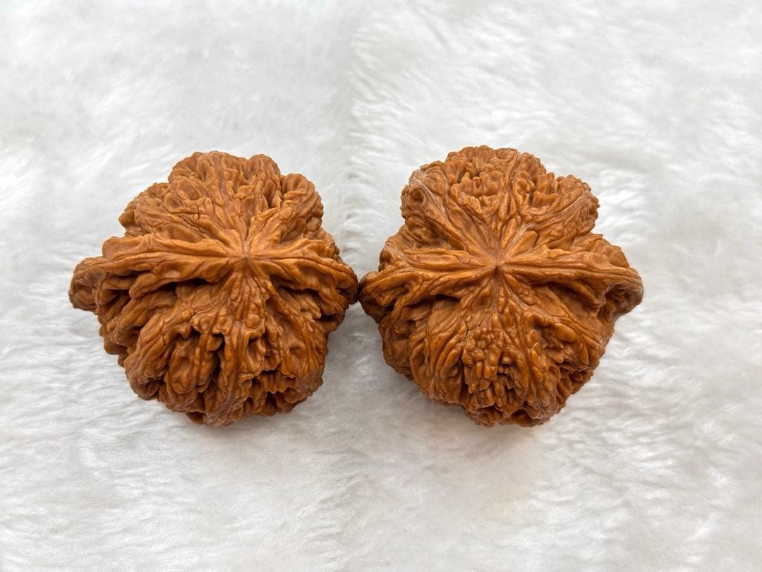 大粗筋核桃(サイズ49） クルミ 文玩