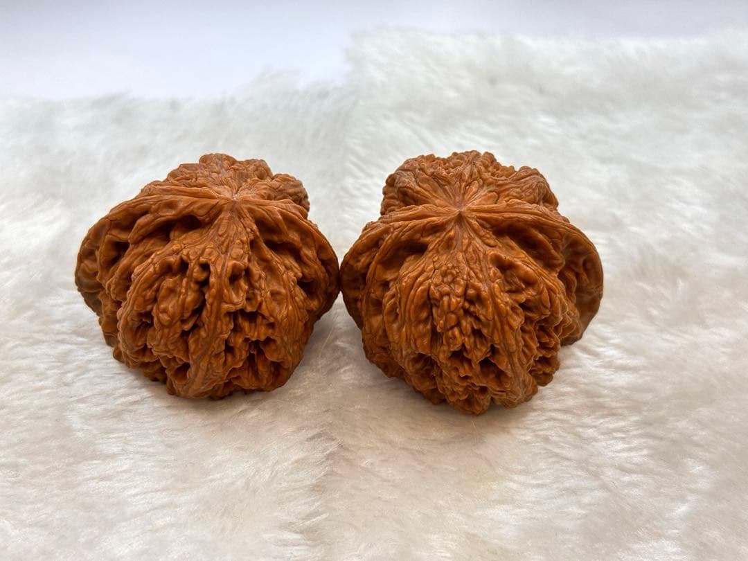 大粗筋核桃(サイズ49） クルミ 文玩