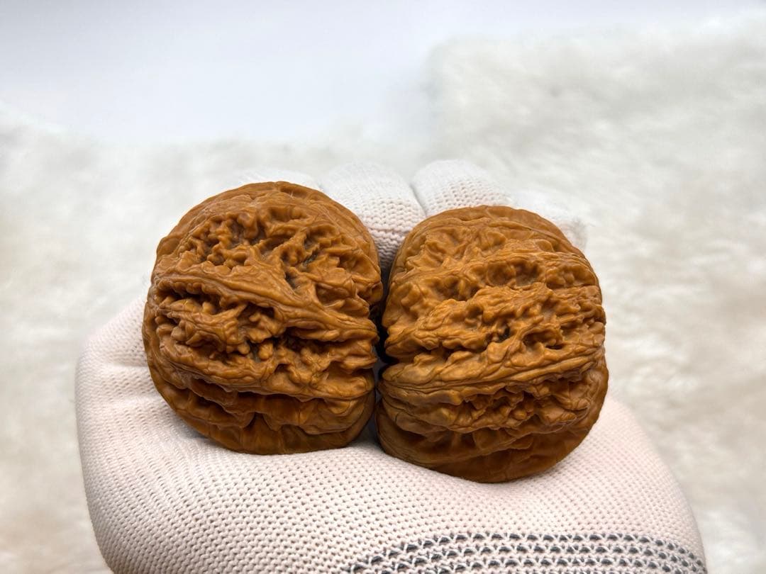 大粗筋核桃(サイズ49） クルミ 文玩