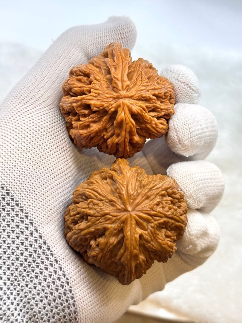 大粗筋核桃(サイズ49） クルミ 文玩