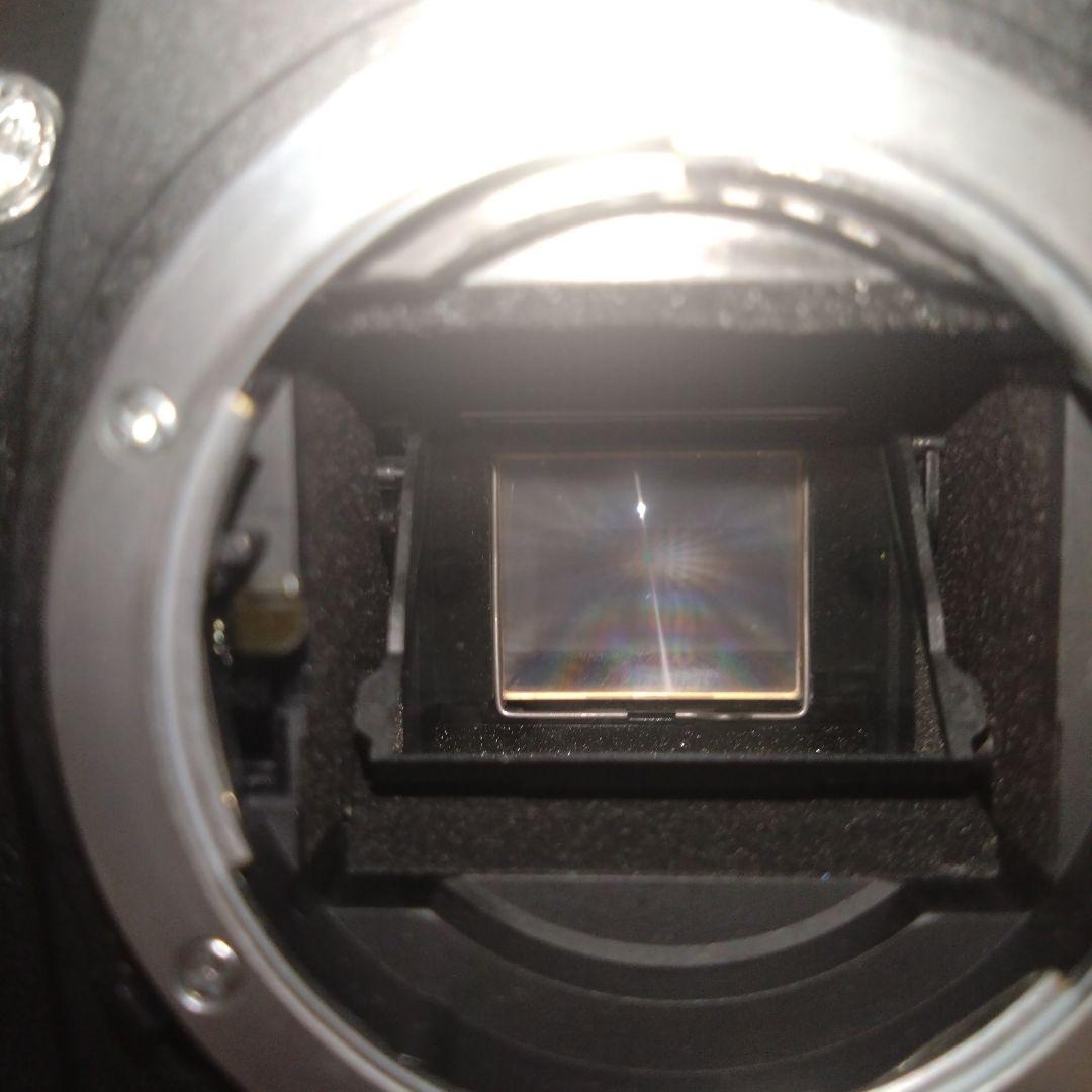 しげさん専用　Nikon D70 Kit デジタル一眼レフ 開閉式液晶カバー付き