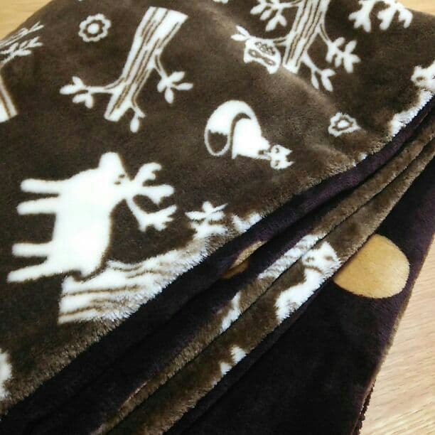 確認用 ちゃめたん！！