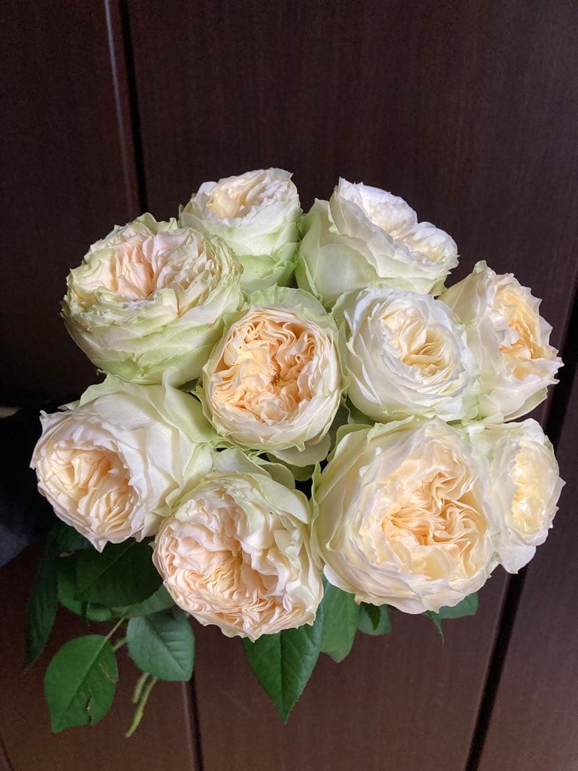 バラ苗切りバラ。L♡vely Harp♡r バラ