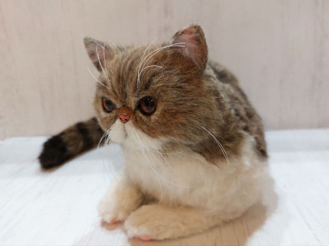 羊毛フェルト　猫　(エキゾチックショートヘア)