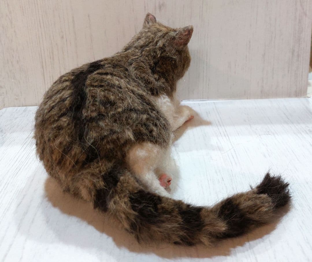 羊毛フェルト　猫　(エキゾチックショートヘア)