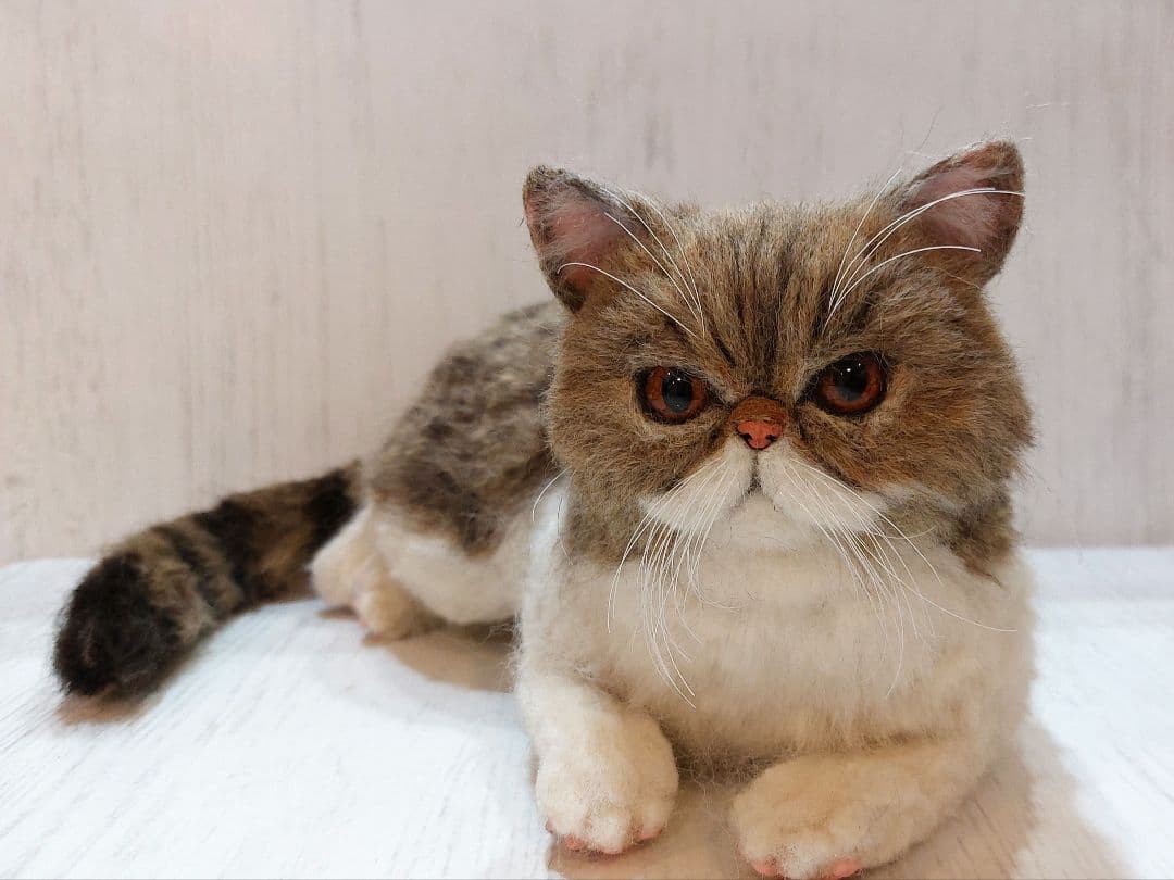 羊毛フェルト　猫　(エキゾチックショートヘア)